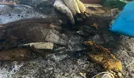 Gevaş ilçesinde bir evde çıkan yangın korku dolu anlar yaşattı