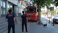 Batman sokaklarında kedilerin dostluk sınavı