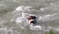 Sason Çayı’nda ölü hayvan tehlikesi korkutuyor