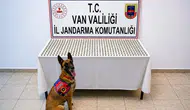 Van sınırında mide bulandıran uyuşturucu operasyonu