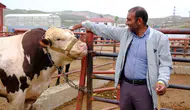 Van hayvan pazarında kurbanlık mesaisi başladı