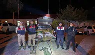 Muradiye'de kaçak avcılara geçit yok