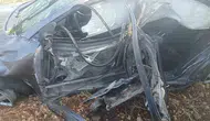 Şanlıurfa Bozova yolunda otomobil şarampole devrildi