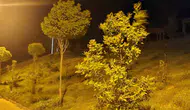 Elazığ geceyi fırtınayla geçirdi