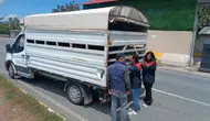 Elazığ yollarında kurbanlık hayvan sevkiyatına yakın takip
