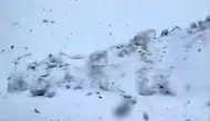 Hakkari’nin zirvelerinde bahar ayı karla kaplandı