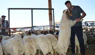 Kızıltepe hayvan pazarında bayram mesaisi durgun geçti