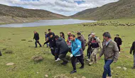 Karlıova dağlarında mahsur kalan yaralıyı kurtarma operasyonu