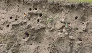 Bitlis’in gökyüzü renkli misafirlerini ağırlıyor