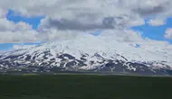 Süphan Dağı eteklerinde bahar şöleni başladı