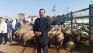 Şanlıurfa kurban pazarında fiyat savaşı başladı
