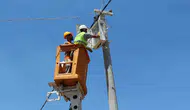 Harran ve Akçakale enerji hattında büyük yenilenme süreci