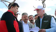 Şanlıurfa'da süper hücre fıstık bahçelerini vurdu