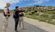 Batmanlı besicilere bayram öncesi hayvan hırsızlığına karşı önlem uyarısı