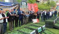 Şırnaklı çiftçiye 361 bin fideli tarım desteği