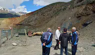 Hakkari’de kurbanlık pazarı kuruldu