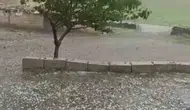 Siverek’te dolu felaketi tarlaları vurdu