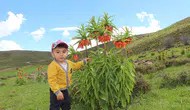 Bingöl dağlarında ağlayan gelinlerin mevsimi geldi