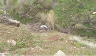 Van'da jandarma aracı uçuruma yuvarlandı