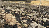 Diyarbakır Çınar’da ekinler alevlere teslim oldu