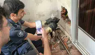 Elazığ’da apartman boşluğunda günlerce mahsur kalan kedi kurtarıldı