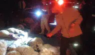 Van Gürpınar yolunda gece yarısı kaza 17 koyun telef oldu