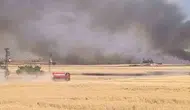 Harran ovasında dev yangın 400 dönüm ürünü kül etti