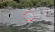 Bingöl’de serinlemek için girdiği çayda kaybolan adam aranıyor