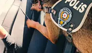 Muş’ta polisten uyuşturucu operasyonu