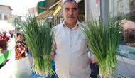 Van'da şifalı ot bereketi haziran ortasına kadar sürdü