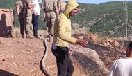 Siirt Baykan'da yangın paniği kontrol altına alındı