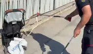 Şanlıurfa'da mesire alanında korku dolu anlar