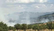 Bingöl Gökçeli'de orman yangını korkuttu