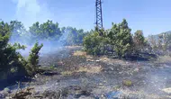 Bingöl Genç ilçesindeki orman yangını korkuttu