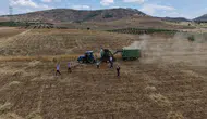 Batmanlı çiftçiler mercimek hasadını eğlenceye dönüştürdü