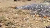 Gercüş'te tarlaları küle çevirecek yangın son anda durduruldu
