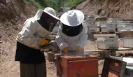 Bitlisli iki kadın arıcılıkla kendi işinin patronu oldu