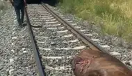 Elazığ Palu hattında tren kazası trafiği kilitledi