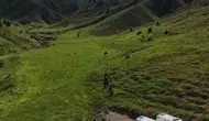 Tunceli kırsalında mantar toplayan üç kişiye ayı saldırdı