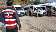 Diyarbakır merkezli dev operasyon 15 milyar liralık serveti vurdu