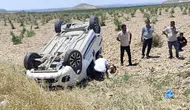 Birecik’te sağlık aracı şarampole uçtu