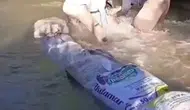 Yüksekovalı çiftçiler tarlalarını sulamak için dere yatağına set kuruyor
