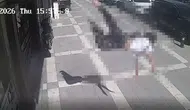 Şırnak İdil'de balkondan düşen çocuk ağır yaralandı