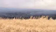 Kızıltepe'de 500 dönüm buğday alevlere teslim oldu