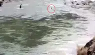 Bingöl’de çaya giren genç akıntıya kapılarak gözden kayboldu