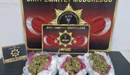 Siirt polisinden bir ayda geniş çaplı suç operasyonu