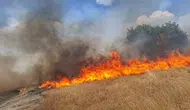 Diyarbakır genelinde beş ilçede birden yangın alarmı