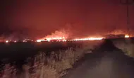 Silopi’de geceyi aydınlatan yangın 300 dönümü yuttu