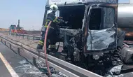 Mardin yolunda seyir halindeki tır alevlere teslim oldu