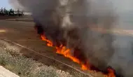 Suruç'ta 30 dönüm arpa tarlası küle döndü